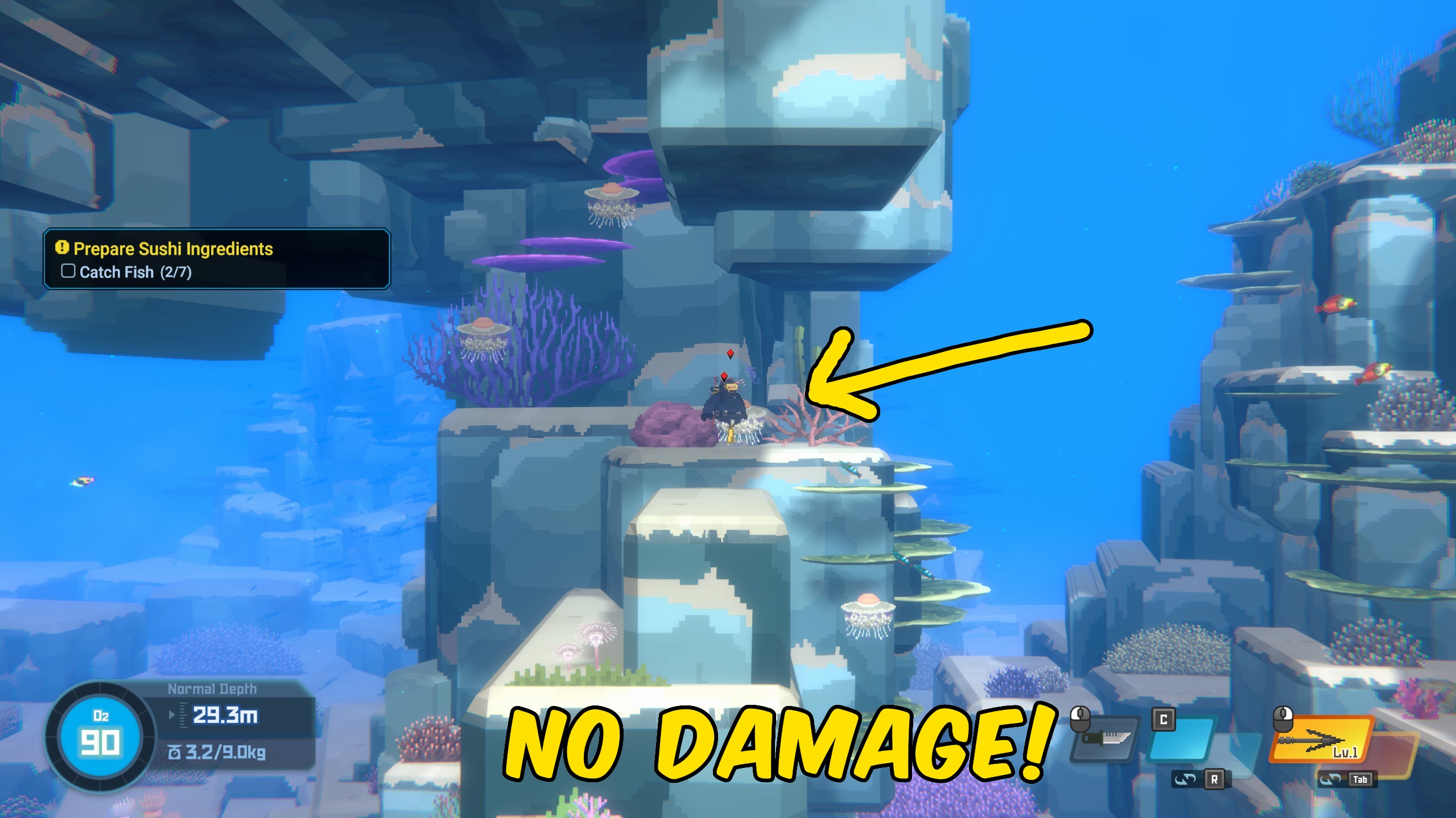 DAVE THE DIVER — Bubble Shield (No Damage)